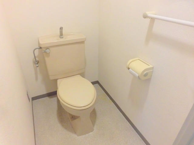 トイレ　※同仕様写真含む