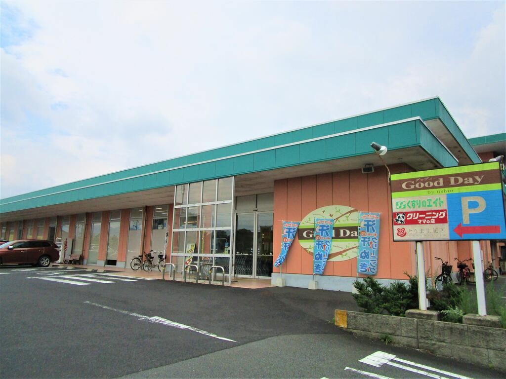 スーパー　グッディー医大通店（スーパー）まで844m
