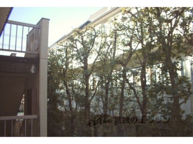 その他共有部分　植栽