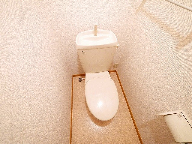 トイレ　トイレも気になるポイント