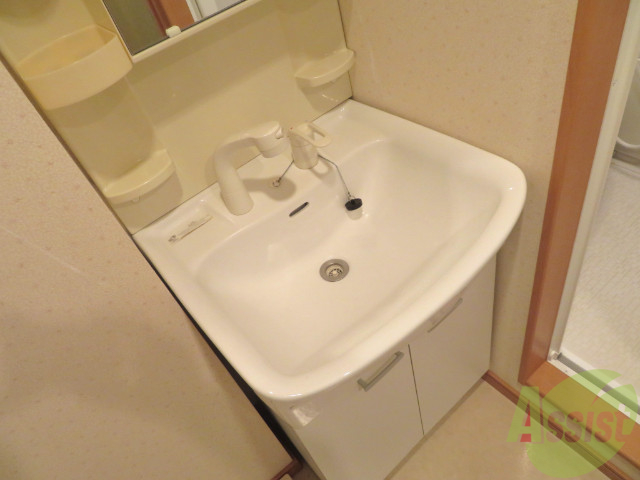 洗面設備　シャンプードレッサーがあるので忙しい朝の支度も問題ありません