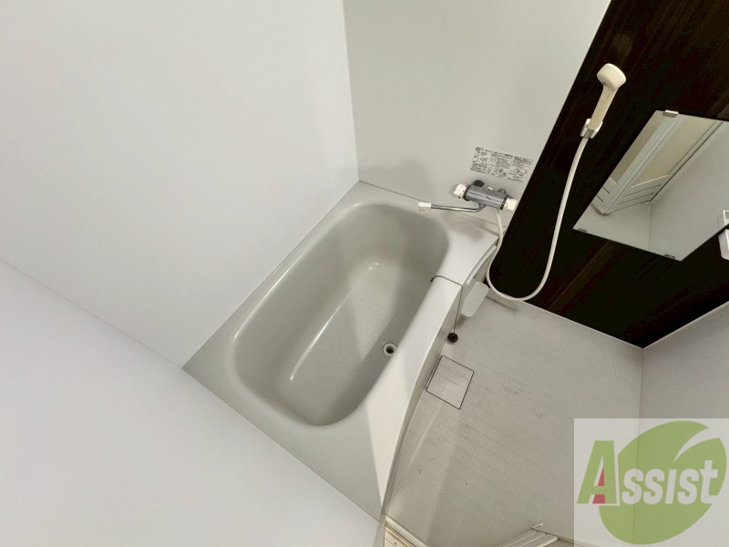 バス・シャワールーム　シャンプードレッサー。身支度はここでばっちりですね。