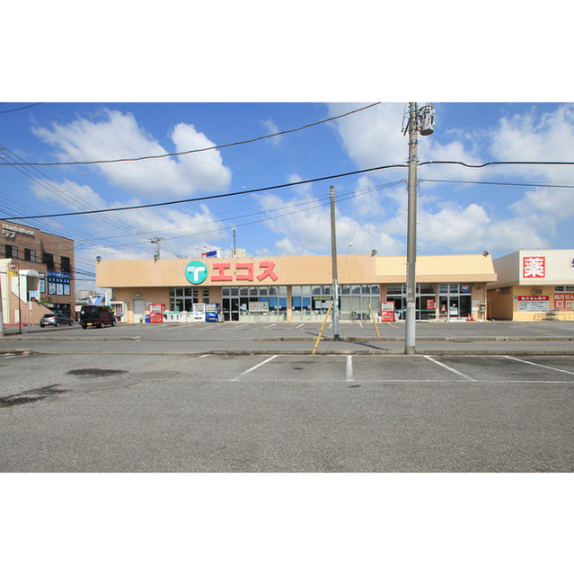 スーパー　エコス荒川沖店（スーパー）まで1291m