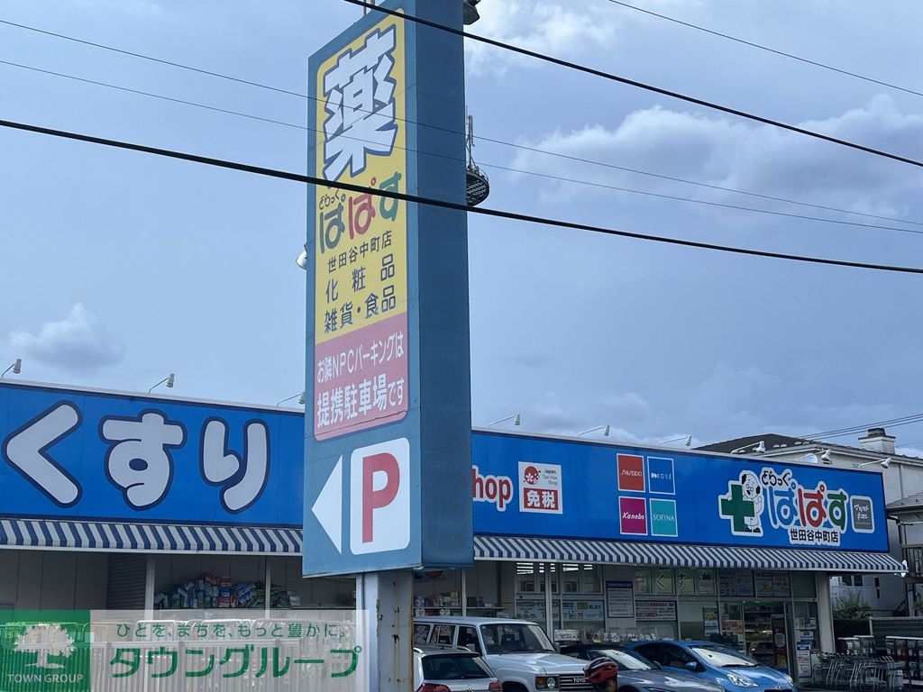 ドラックストア　どらっぐぱぱす（ドラッグストア）まで220m