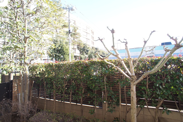 眺望　お部屋前には緑があるので、心癒されますね☆