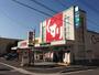 ドラックストア　スギ薬局 清水口店（ドラッグストア）まで307m