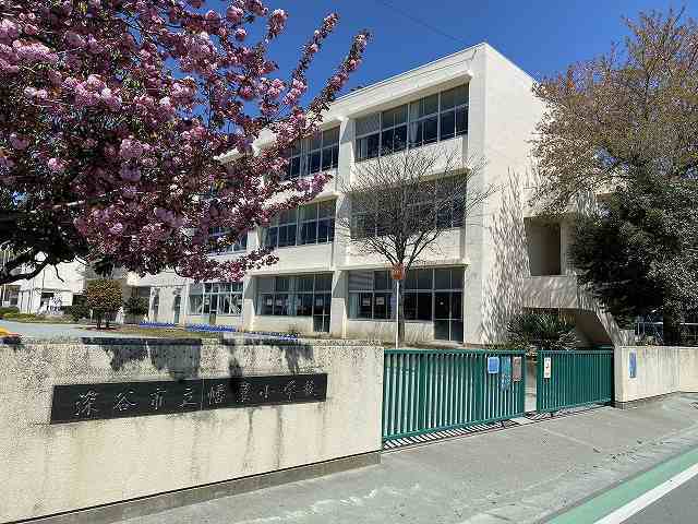 その他　深谷市立幡羅小学校（その他）まで300m