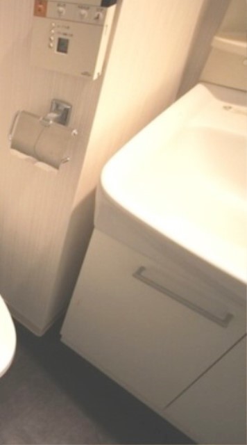 洗面設備　別部屋同仕様タイプ