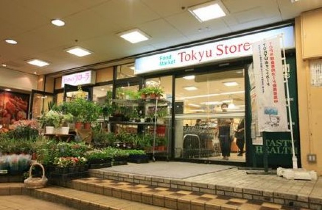 スーパー　東急ストア菊名店（スーパー）まで559m