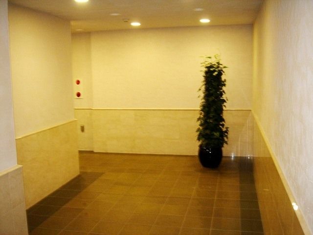 ロビー　ロビー