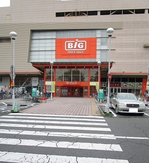 スーパー　ザ・ビッグ（スーパー）まで700m