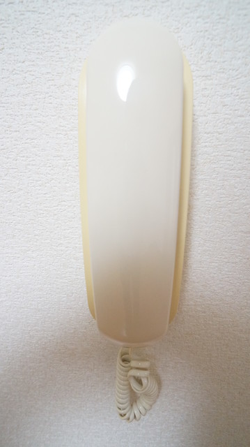 セキュリティ　参考写真（同建物別部屋のものです）