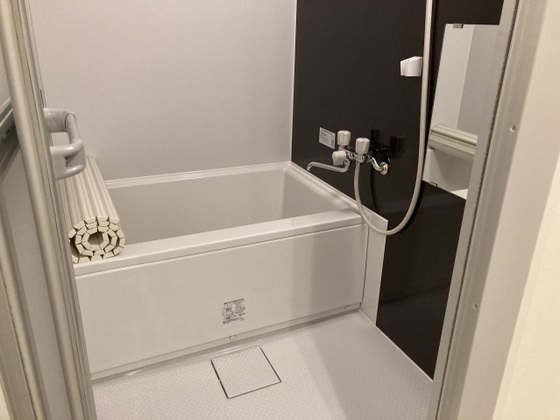 バス・シャワールーム　※別部屋の写真です