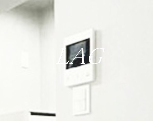 セキュリティ　モニター付きインターフォンです。