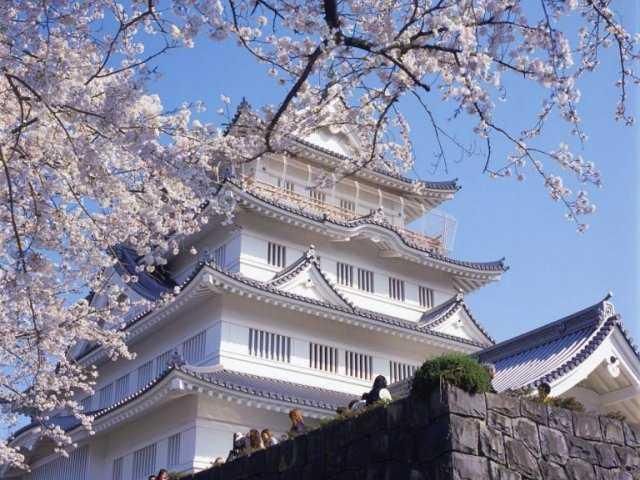 公園　亥鼻公園（公園）まで830m