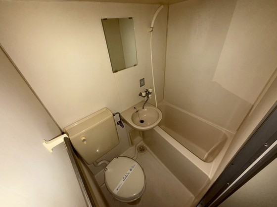 バス・シャワールーム　※別部屋の写真です