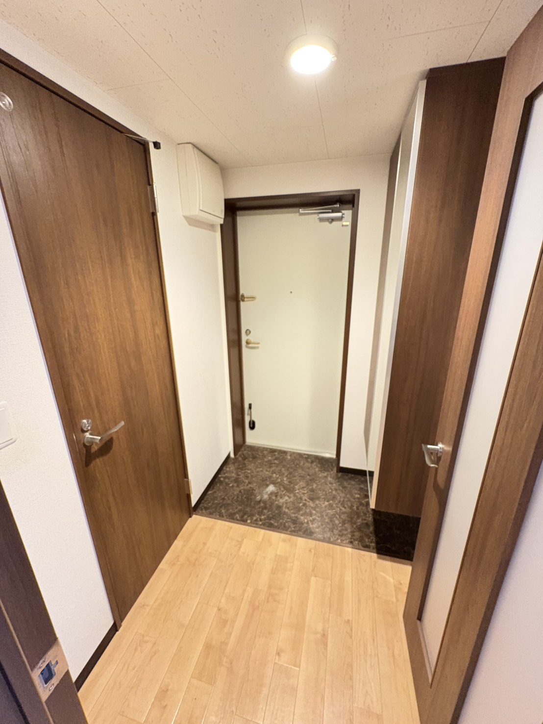 玄関　他号室