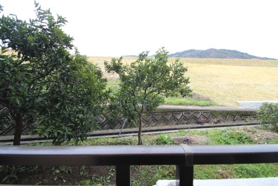 眺望　※別部屋の写真です