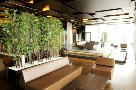 ロビー　清潔なロビーです