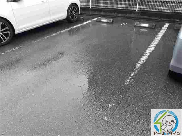 駐車場　※類似部屋