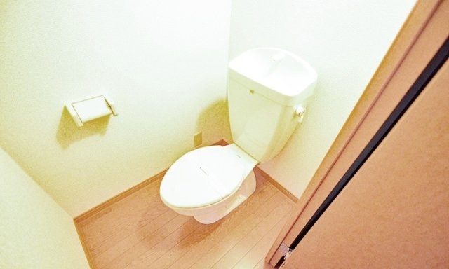 トイレ　同物件別号室の写真です。