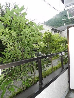 バルコニー