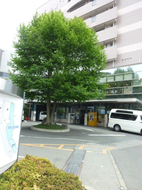 病院　渕野辺総合病院（病院）まで1300m