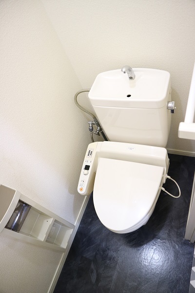 ドミールジュネスのトイレ写真