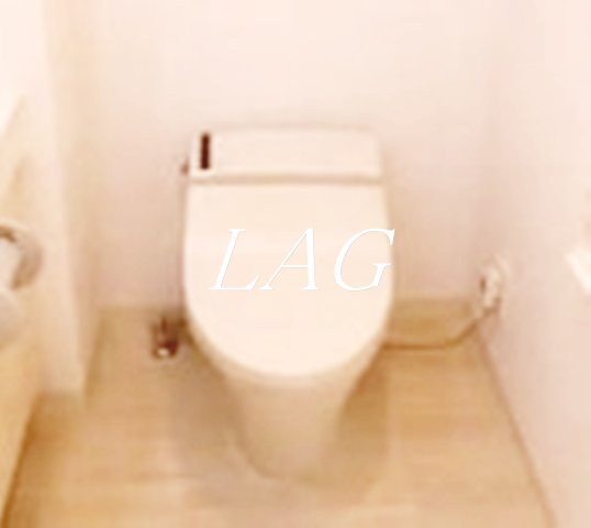 トイレ　トイレです。