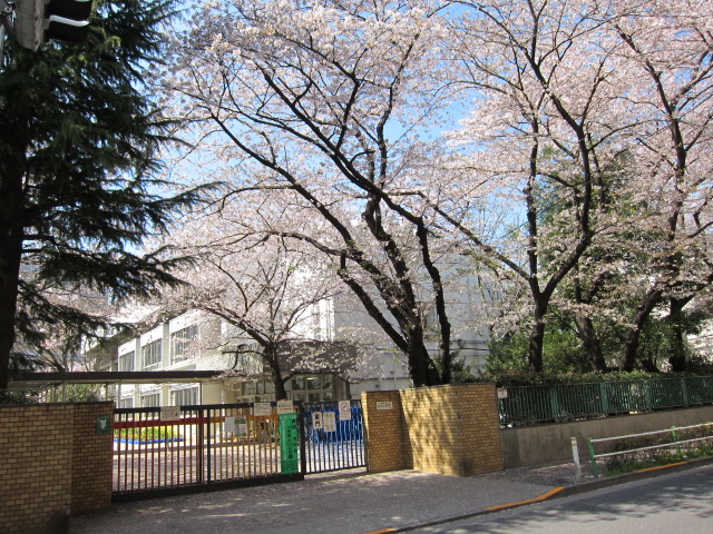 小学校　板橋区立金沢小学校（小学校）まで224m