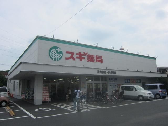 ドラックストア　スギ薬局東大和店（ドラッグストア）まで331m