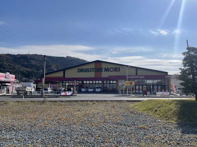ドラックストア　ドラッグストアモリ御船店（ドラッグストア）まで221m