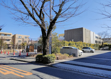 幼稚園・保育園　日体幼稚園（幼稚園・保育園）まで1284m