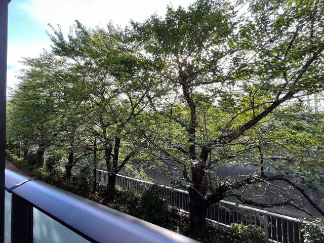 眺望　※別部屋参考