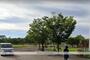 公園　月見ヶ原公園（公園）まで2571m