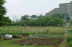 公園　山久保自然緑地（公園）まで690m