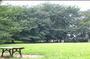 公園　善福寺川緑地（公園）まで261m