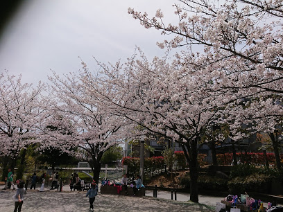 公園　めぐろ区民キャンパス公園（公園）まで546m
