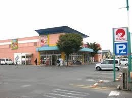スーパー　マルナカ 中庄店（スーパー）まで1308m