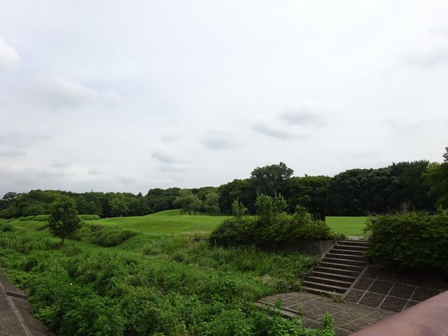 公園　都立 武蔵野公園（公園）まで1007m