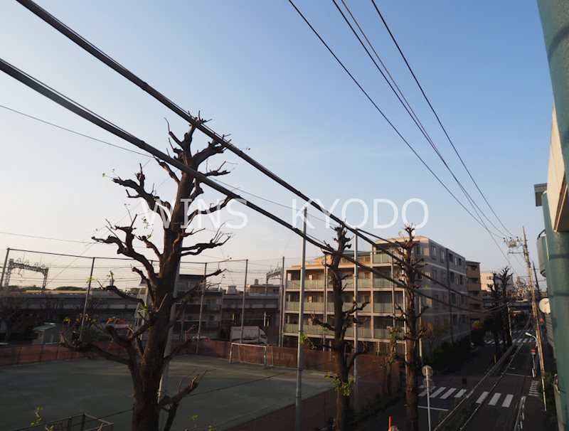 眺望