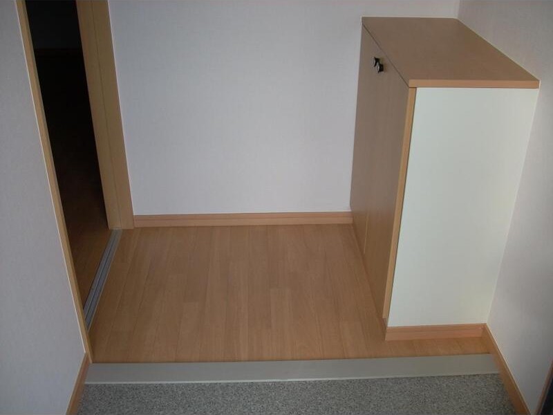 玄関　※同建物の別のお部屋の写真です。