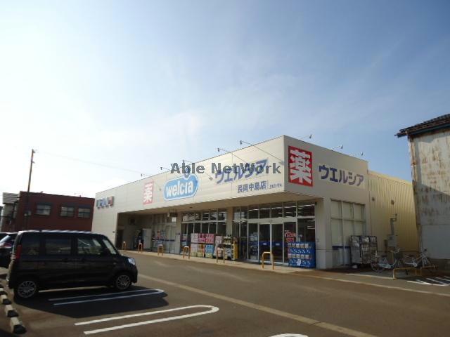 ドラックストア　ウエルシア長岡中島店（ドラッグストア）まで1330m