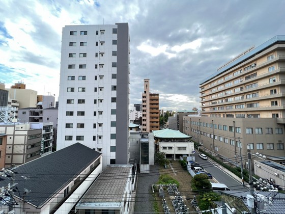 眺望　※別部屋の写真です