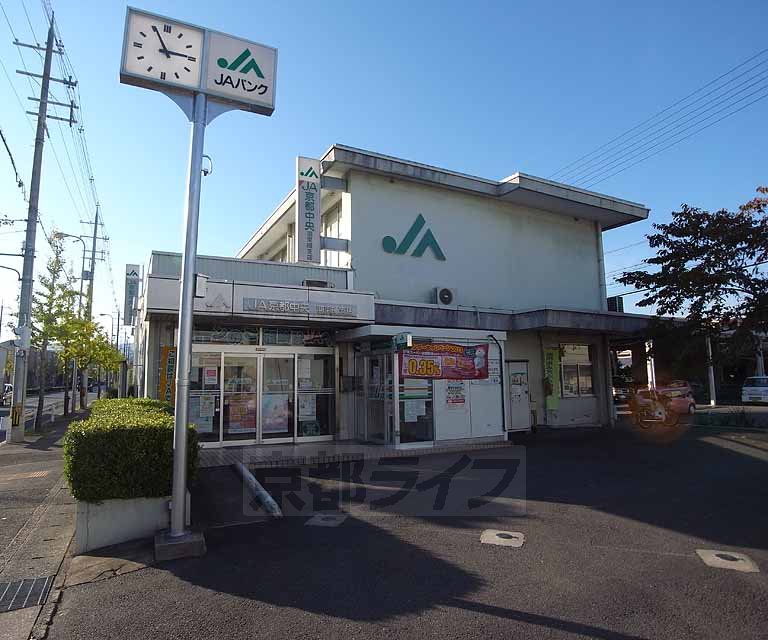 銀行　ＪＡ京都中央 羽束師支店（銀行）まで250m