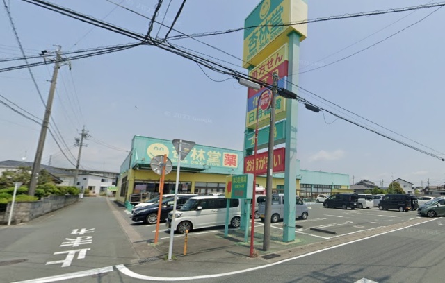 スーパー　杏林堂薬局　西鹿島駅前店（スーパー）まで1000m
