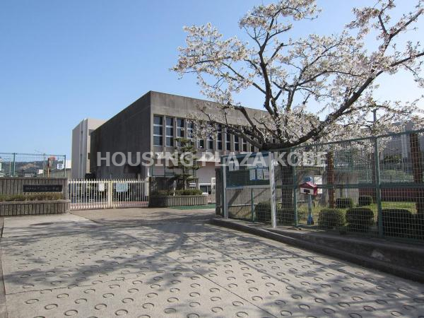 小学校　神戸市立下畑台小学校（小学校）まで1206m