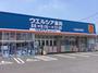 ドラックストア　ウエルシアつくばみどりの店（ドラッグストア）まで419m
