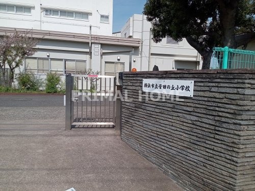 小学校　横浜市立菅田の丘小学校（小学校）まで455m