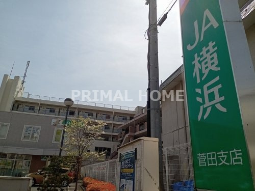 銀行　JA横浜菅田支店（銀行）まで495m